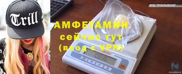 твердый Абаза