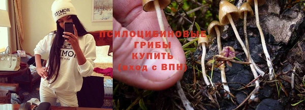 твердый Абаза