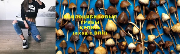 ECSTASY Алзамай