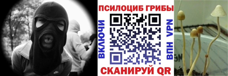где купить наркоту  Зеленогорск  Галлюциногенные грибы мухоморы 