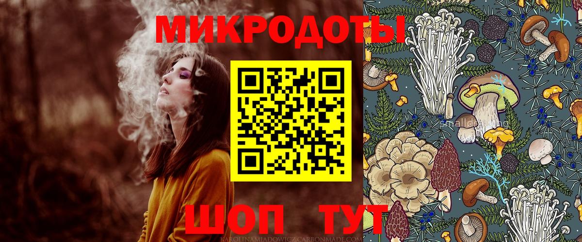 Псилоцибиновые грибы Psilocybine cubensis Зеленогорск