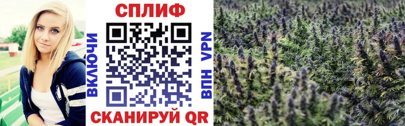 Канабис MAZAR  Зеленогорск 